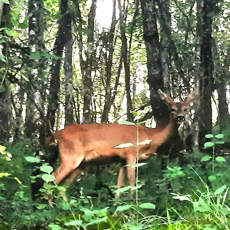Gospodarstwo wiejskie La Salamandre - Piscine, Nature, Gr35 Et Teletravail Lauzerte