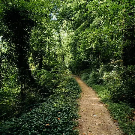 Domaine La Salamandre - Piscine&forêt Privée, Vue Sur Vallée *