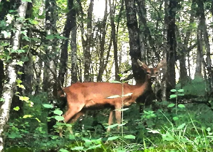 D'etape Et De Sejour- Domainesalamandre-fr - Piscine, Nature, Gr65 Et Teletravail