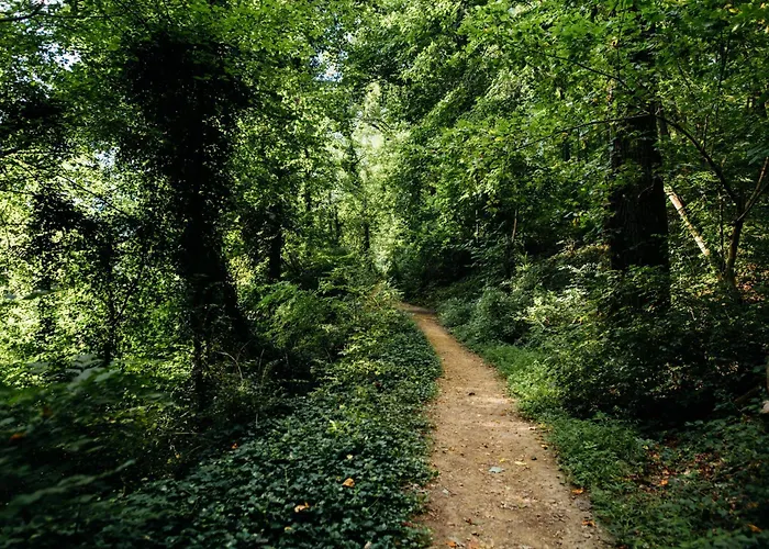 D'etape Et De Sejour- Domainesalamandre-fr - Piscine, Nature, Gr65 Et Teletravail *
