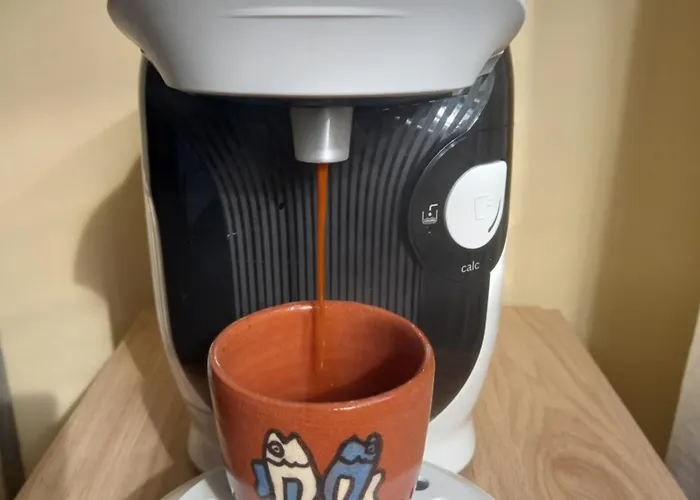 D'etape Et De Sejour- Domainesalamandre-fr - Piscine, Nature, Gr65 Et Teletravail Lantställe Lauzerte